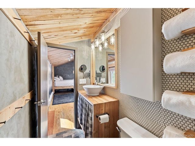 932 Peterson Dr, Alma, CO 80420
