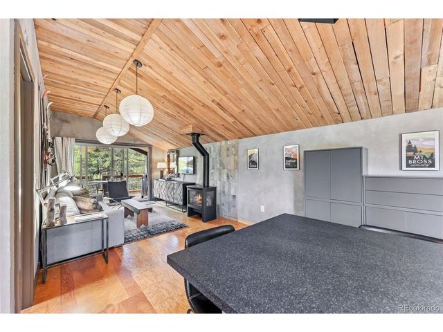 932 Peterson Dr, Alma, CO 80420