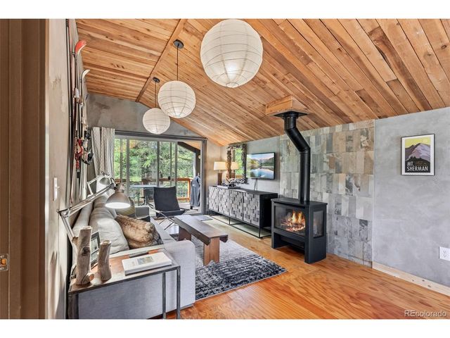 932 Peterson Dr, Alma, CO 80420