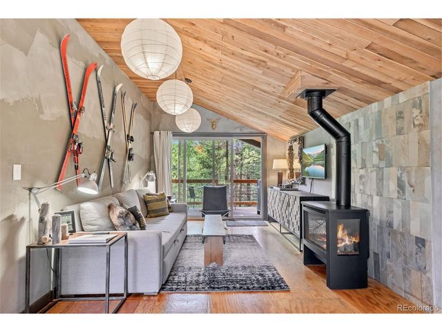 932 Peterson Dr, Alma, CO 80420