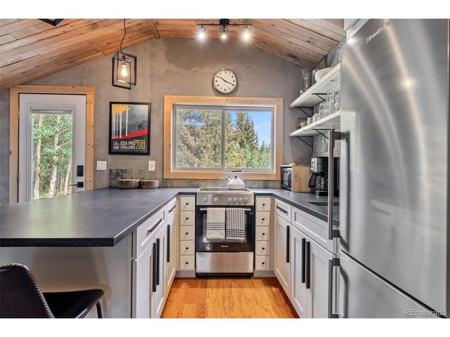 932 Peterson Dr, Alma, CO 80420