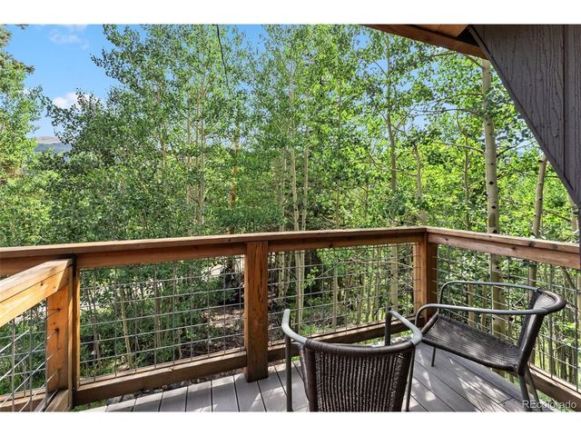 932 Peterson Dr, Alma, CO 80420