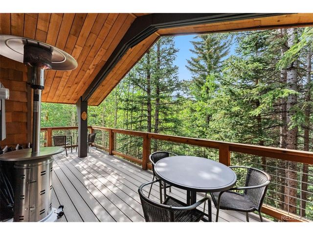 932 Peterson Dr, Alma, CO 80420
