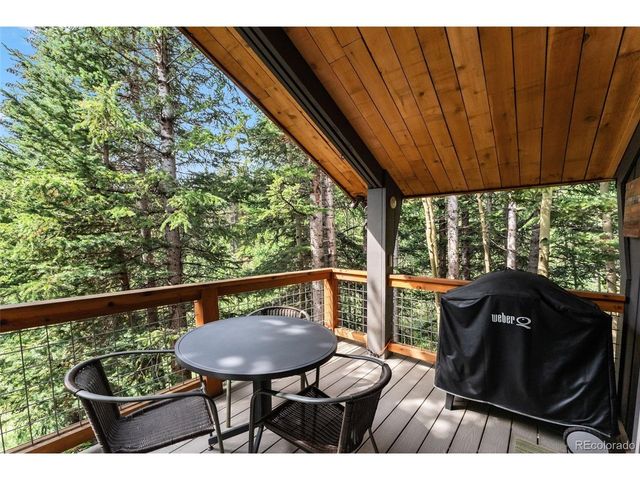 932 Peterson Dr, Alma, CO 80420