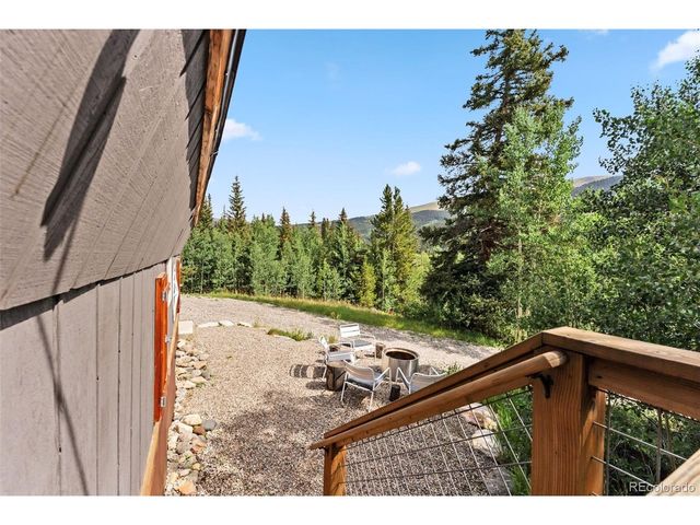 932 Peterson Dr, Alma, CO 80420