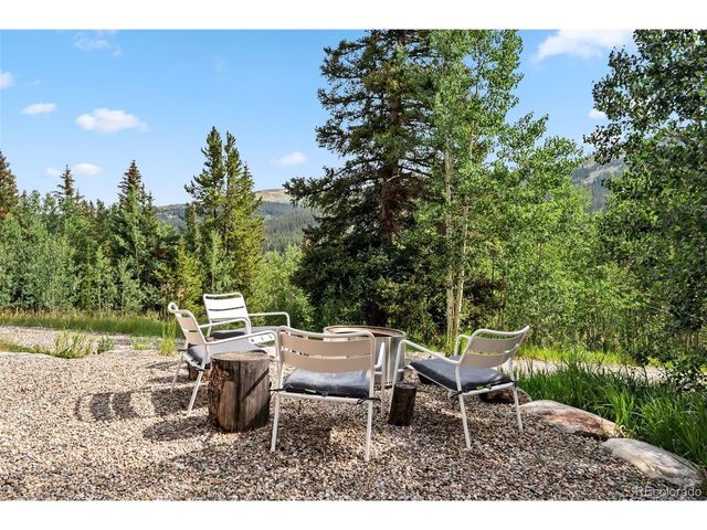 932 Peterson Dr, Alma, CO 80420