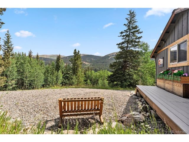 932 Peterson Dr, Alma, CO 80420