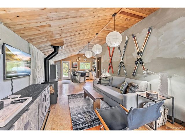 932 Peterson Dr, Alma, CO 80420