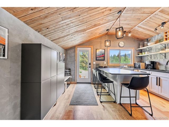 932 Peterson Dr, Alma, CO 80420