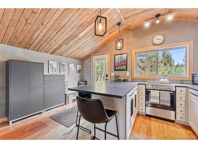 932 Peterson Dr, Alma, CO 80420