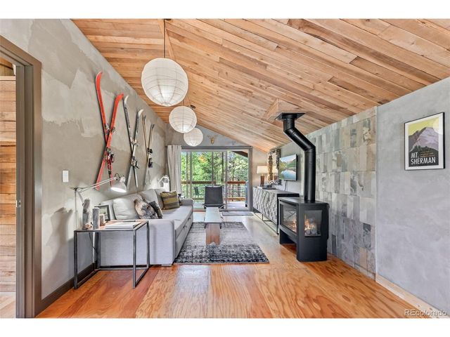 932 Peterson Dr, Alma, CO 80420