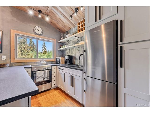 932 Peterson Dr, Alma, CO 80420