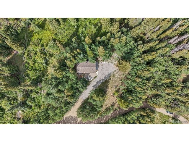 932 Peterson Dr, Alma, CO 80420