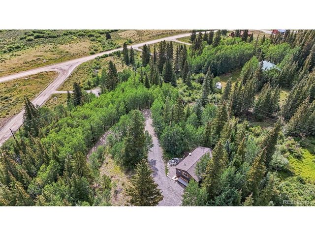 932 Peterson Dr, Alma, CO 80420