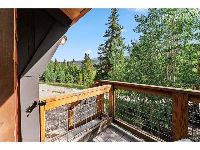 932 Peterson Dr, Alma, CO 80420