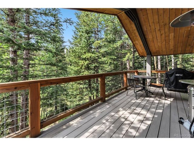 932 Peterson Dr, Alma, CO 80420