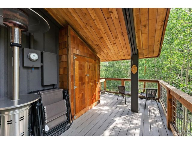 932 Peterson Dr, Alma, CO 80420