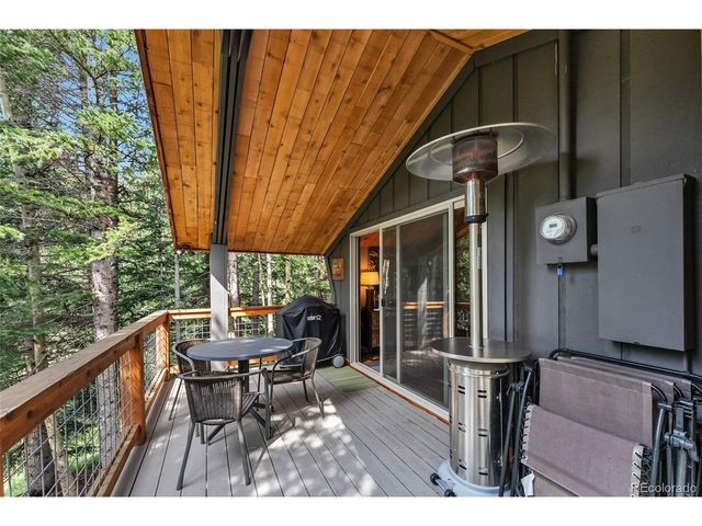 932 Peterson Dr, Alma, CO 80420