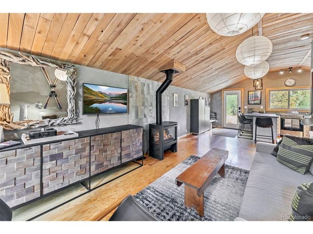 932 Peterson Dr, Alma, CO 80420