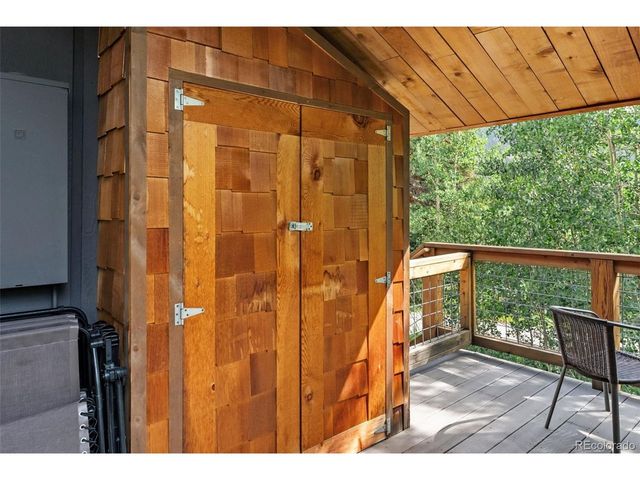 932 Peterson Dr, Alma, CO 80420