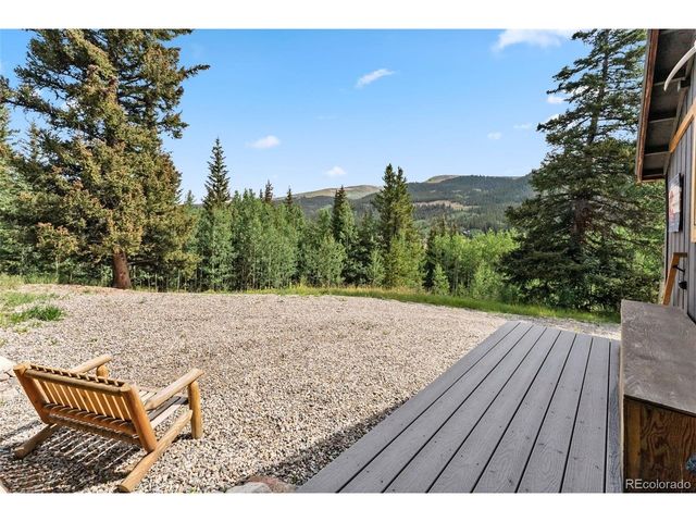 932 Peterson Dr, Alma, CO 80420
