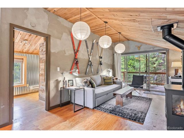 932 Peterson Dr, Alma, CO 80420