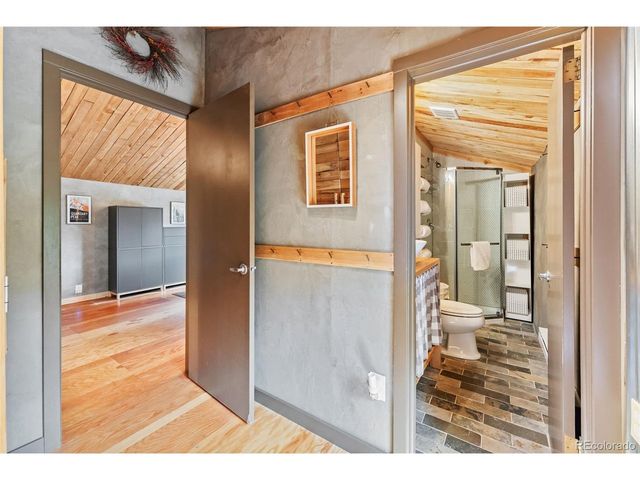 932 Peterson Dr, Alma, CO 80420