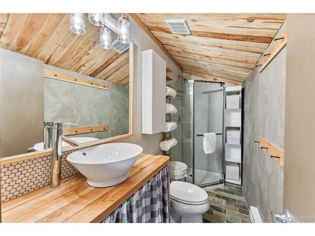 932 Peterson Dr, Alma, CO 80420