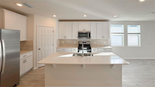 2900 WILD OLIVE DRIVE, St Cloud, FL 34772