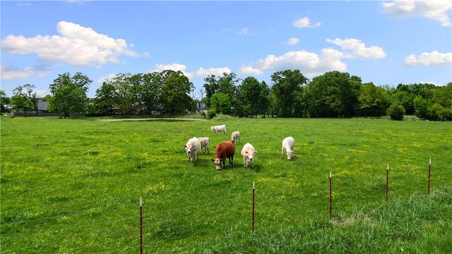 5.05 Acres Greer Street, Pea Ridge, AR 72751