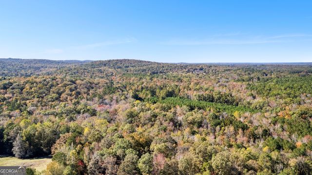 1243 US HWY 19, Meansville, GA 30256