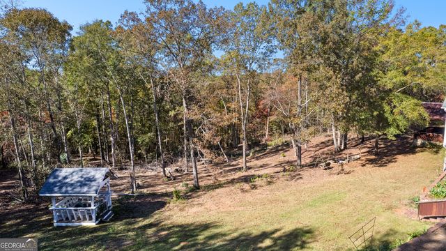 1243 US HWY 19, Meansville, GA 30256