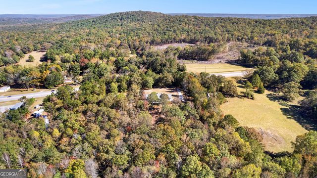 1243 US HWY 19, Meansville, GA 30256