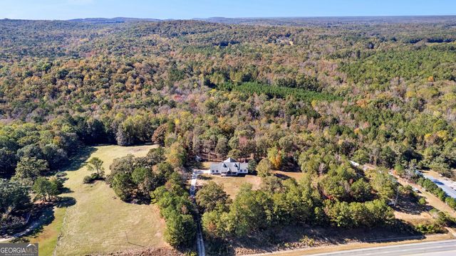 1243 US HWY 19, Meansville, GA 30256