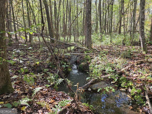 1243 US HWY 19, Meansville, GA 30256