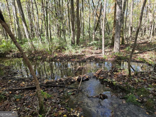 1243 US HWY 19, Meansville, GA 30256