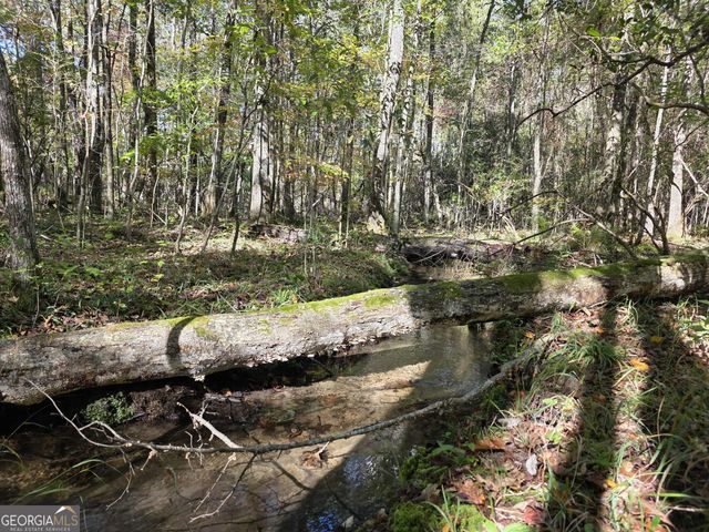 1243 US HWY 19, Meansville, GA 30256