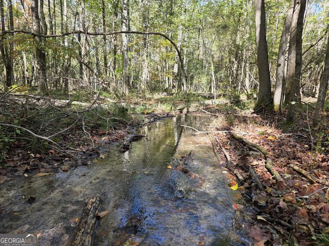 1243 US HWY 19, Meansville, GA 30256