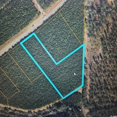 TBD Highway 45, Loris, SC 29569