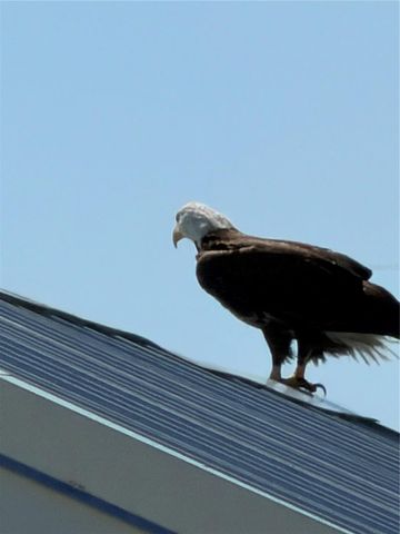 1905 MISSISSIPPI AVENUE, Englewood, FL 34224