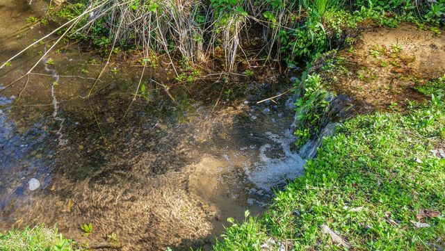 E3192 APPLE TREE LANE, Waupaca, WI 54981