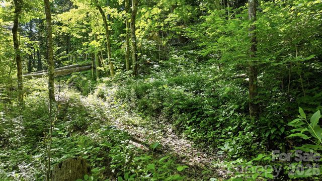 618 Dark Ridge Road, Sylva, NC 28779