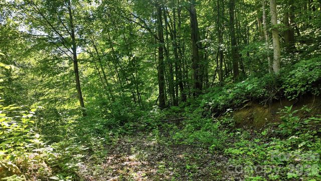 618 Dark Ridge Road, Sylva, NC 28779