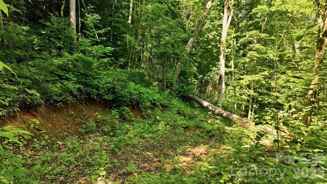 618 Dark Ridge Road, Sylva, NC 28779