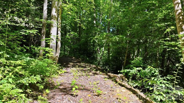 618 Dark Ridge Road, Sylva, NC 28779