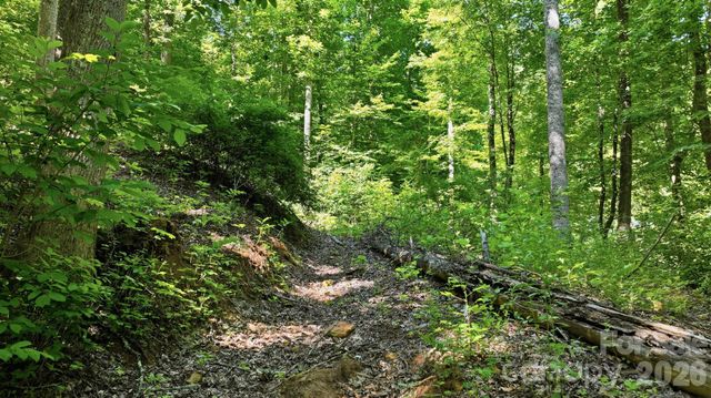 618 Dark Ridge Road, Sylva, NC 28779