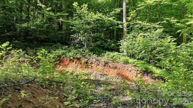 618 Dark Ridge Road, Sylva, NC 28779