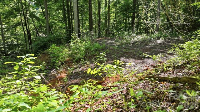 618 Dark Ridge Road, Sylva, NC 28779