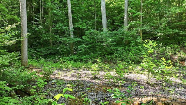 618 Dark Ridge Road, Sylva, NC 28779