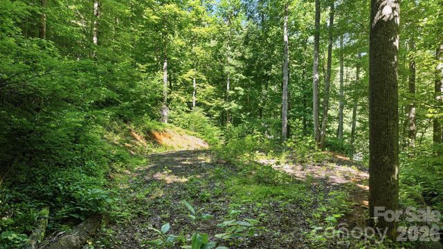 618 Dark Ridge Road, Sylva, NC 28779